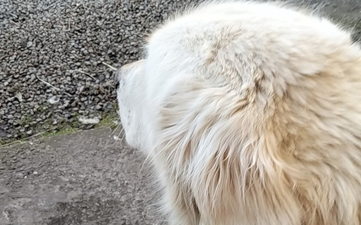 Zbiórka Na trudną walke - zdjęcie główne