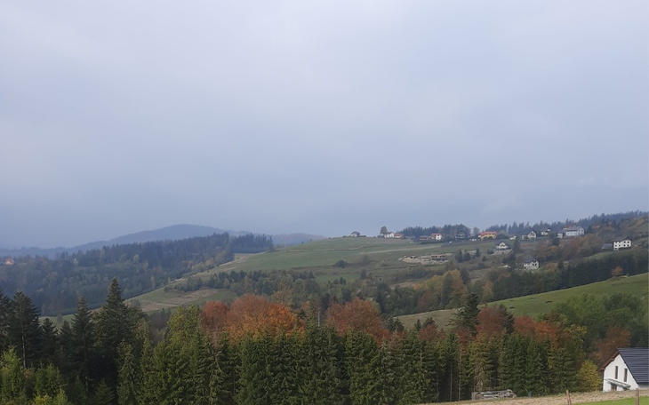 Malowniczy krajobraz górski z domami w tle.