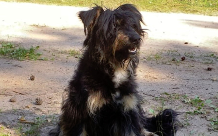 Zbiórka Wywalone jak śmieci - zdjęcie główne