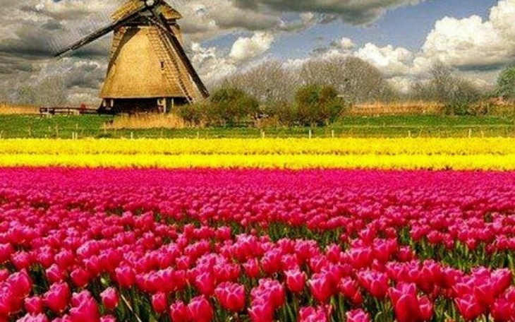 Zbiórka Zbieram na wyjazd...... - zdjęcie główne