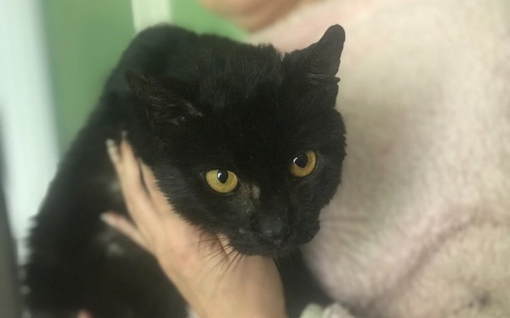 Zbiórka Białaczka... wyrok śmiertelny? - zdjęcie główne