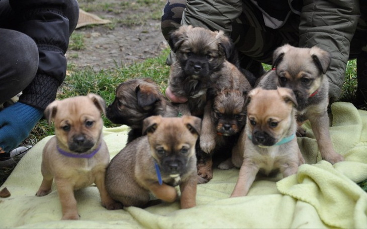 Zbiórka 7 Wspanialych - zdjęcie główne