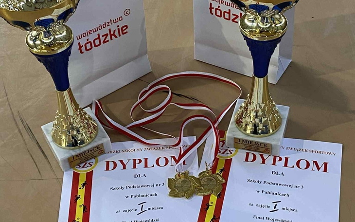 Puchary i dyplomy za osiągnięcia sportowe.