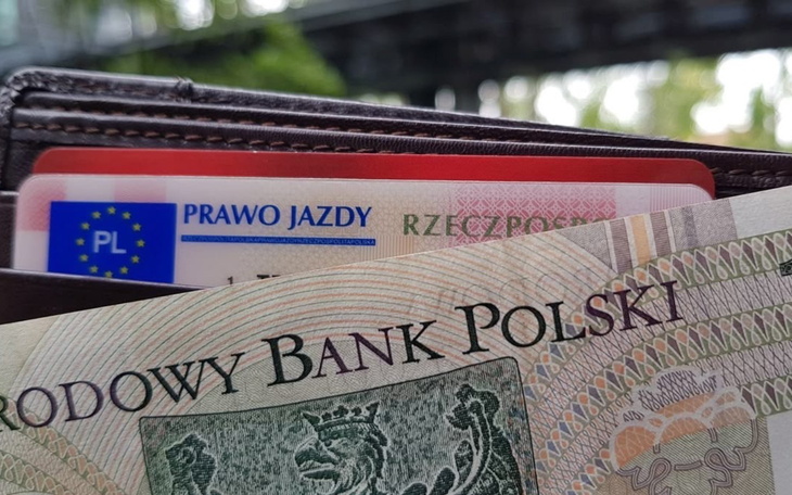 Portfel z dokumentami i banknotami polskimi.