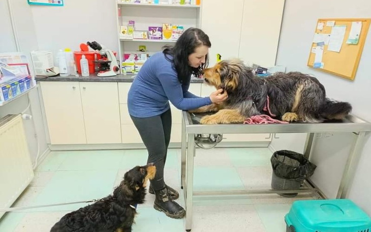 Zbiórka Urodzinowo Kącikowo - zdjęcie główne