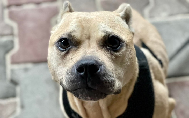 Zbiórka DRAMAT MAI - ratujemy razem - zdjęcie główne