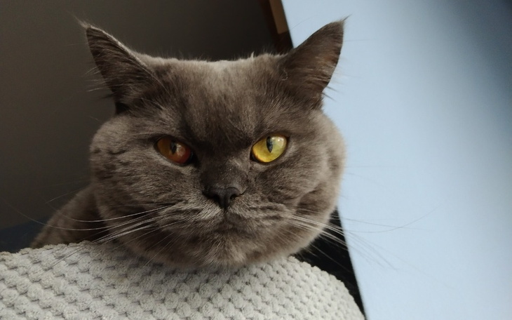 Zbiórka 3 wyrok śmierci na małego Gonzi - zdjęcie główne