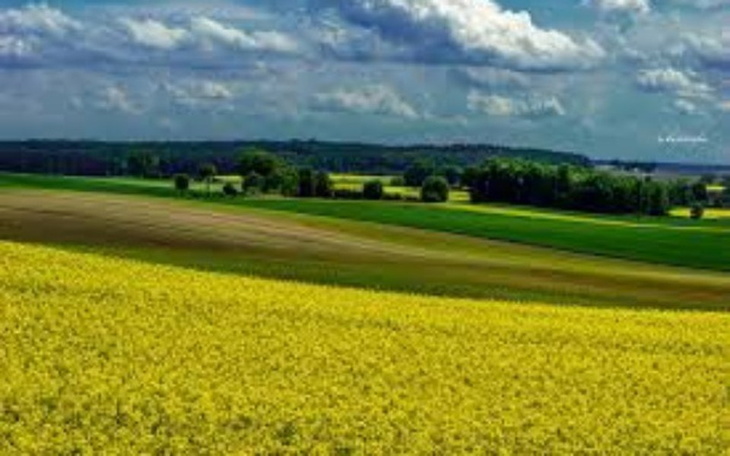 Zbiórka Zwrócę wpłaty w ciągu 5 lat - zdjęcie główne