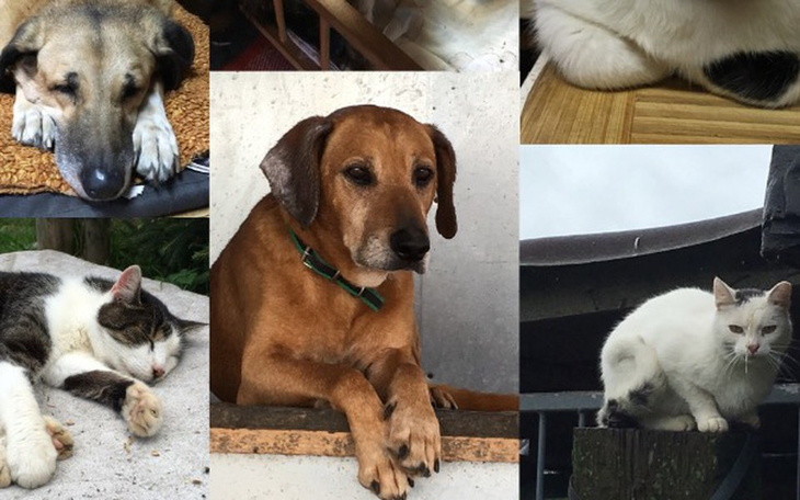 Zbiórka Kolejna faktura- prosimy o pomoc - zdjęcie główne