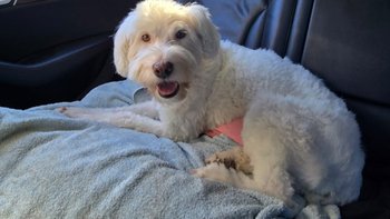 Zbiórka I ani grosza więcej - miniaturka zdjęcia