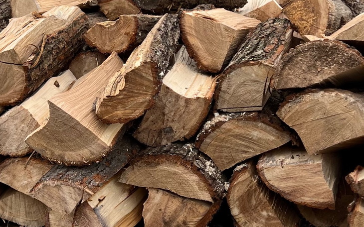 Zbiórka Zbiórka na węgiel Dla Kampy - zdjęcie główne