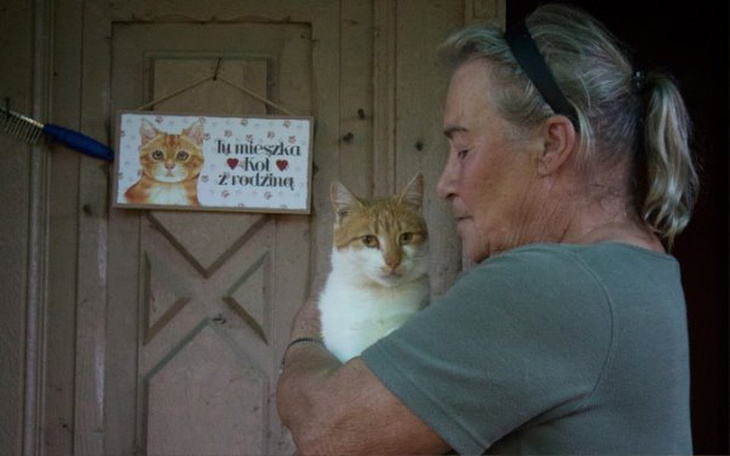 Zbiórka Zrzutka na zwierzaki pani Uli - zdjęcie główne