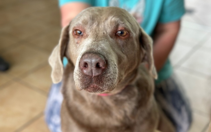 Zbiórka Diagnostyka dla Koli - zdjęcie główne