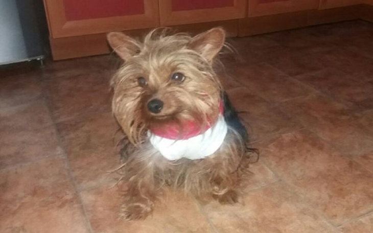 Zbiórka Pomóżmy chorej Zuzi! - zdjęcie główne