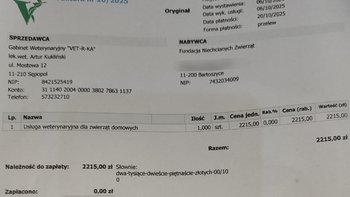 Zbiórka Leczenie bezdomnych zwierząt - miniaturka zdjęcia