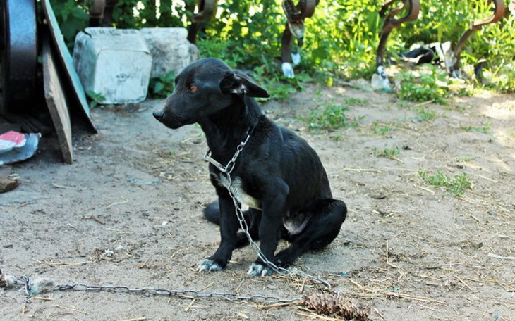 Zbiórka Gromadka z Mokrego/ pomorskie - zdjęcie główne