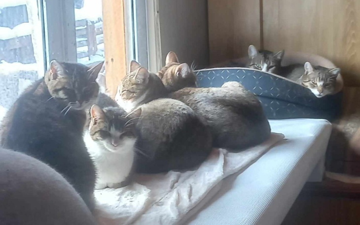 Zbiórka Opłacenie energii elektrycznej - zdjęcie główne