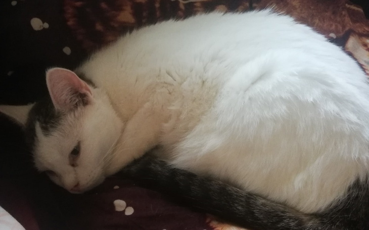 Zbiórka Uratujmy ŻYCIE Bartusia - zdjęcie główne