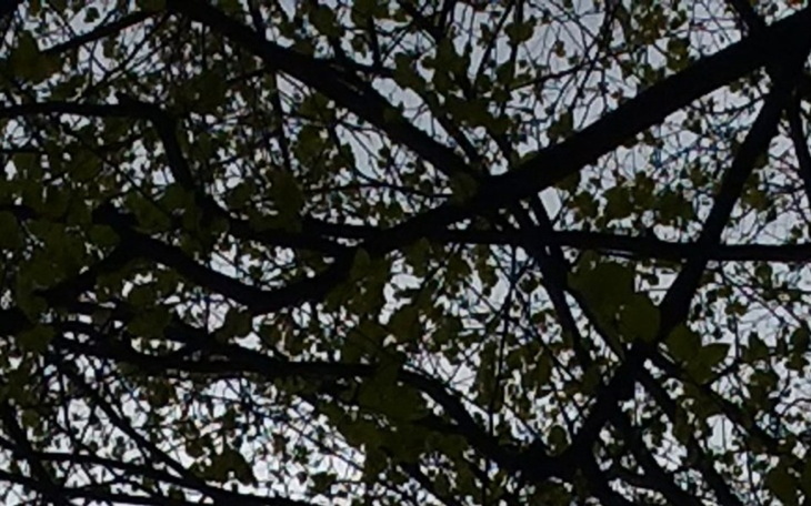 Zbiórka Proszę o pomoc dobrych duszyczek - zdjęcie główne