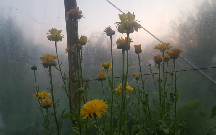 Zbiórka Motor dla szamana w drodze. - zdjęcie główne