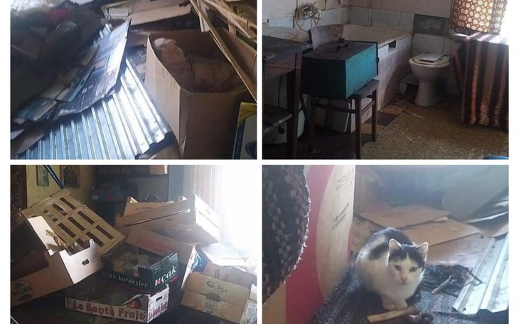 Zbiórka Budujemy KOCI KĄT - zdjęcie główne