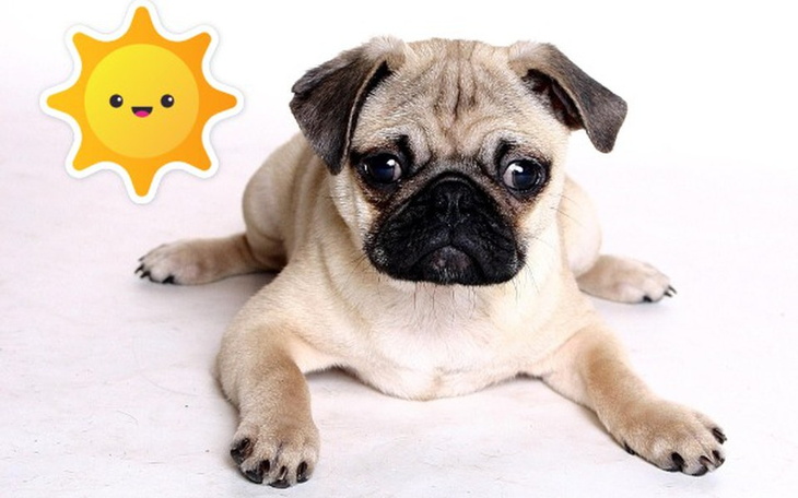 Zbiórka Rp do ligi legend Prosze - zdjęcie główne