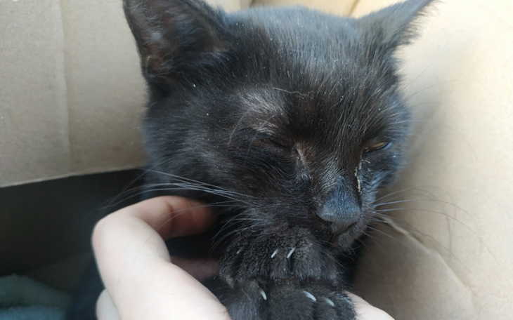 Zbiórka Na opłacenie rachunku za prąd - zdjęcie główne