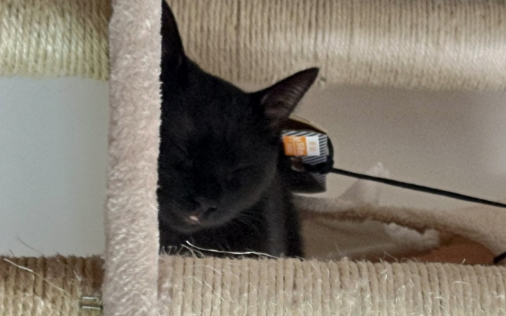 Zbiórka Zbieram na wakacje. Dziękuję. - zdjęcie główne