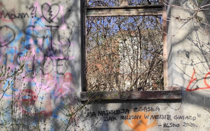 Zbiórka AT52304 -wózek inwalidzki - zdjęcie główne