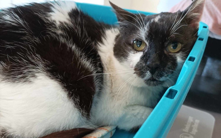 Zbiórka Utrzymanie tymczasu w maju - zdjęcie główne