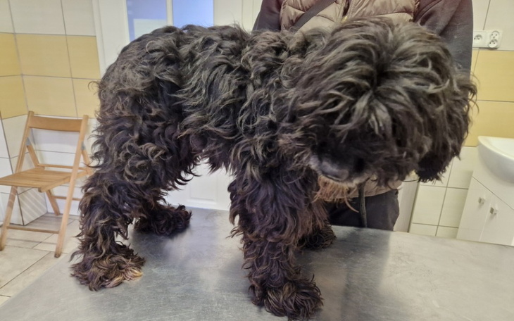 Zbiórka Na pomoc dla Maszy. - zdjęcie główne