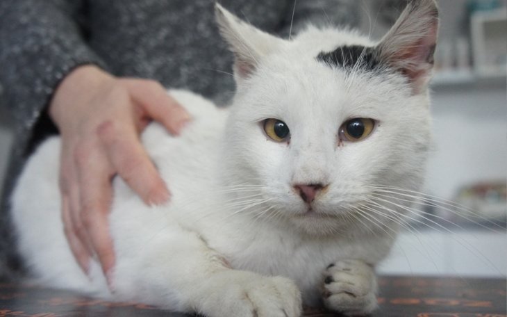 Zbiórka Dla Jogusia - zdjęcie główne