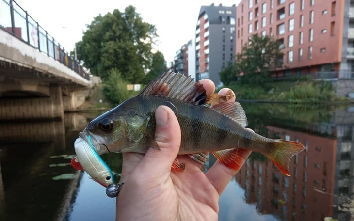 Zbiórka Wymarzony ponton! - zdjęcie główne