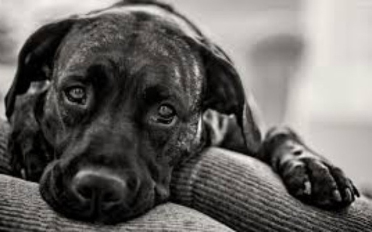 Zbiórka na alkohol xD - zdjęcie główne