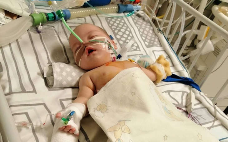 Zbiórka Walka o sprawność dla Dominiki - zdjęcie główne