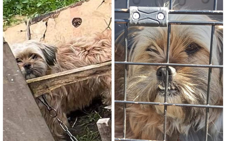 Zbiórka Maleństwo nie może urodzić - zdjęcie główne