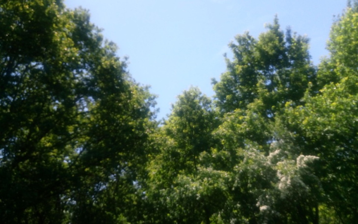 Zbiórka Dla córeczek - zdjęcie główne