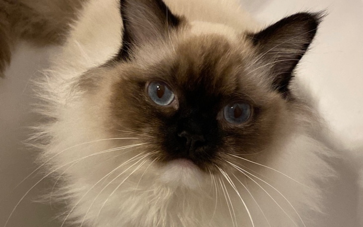 Zbiórka Loki i PNN - zdjęcie główne