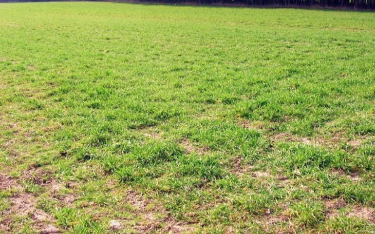 Zbiórka Wkład własny do kredytu hipotecz - zdjęcie główne