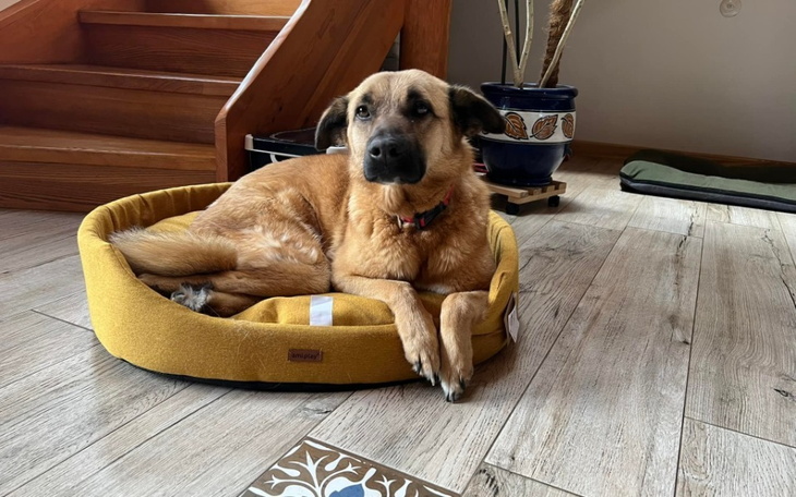 Zbiórka Lena zbiera na Korabki IX 2023 - zdjęcie główne