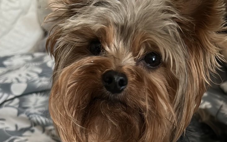 Zbiórka Na operacje Poli - zdjęcie główne