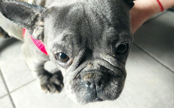 Zbiórka Wyrzucona jak śmieć. - zdjęcie główne