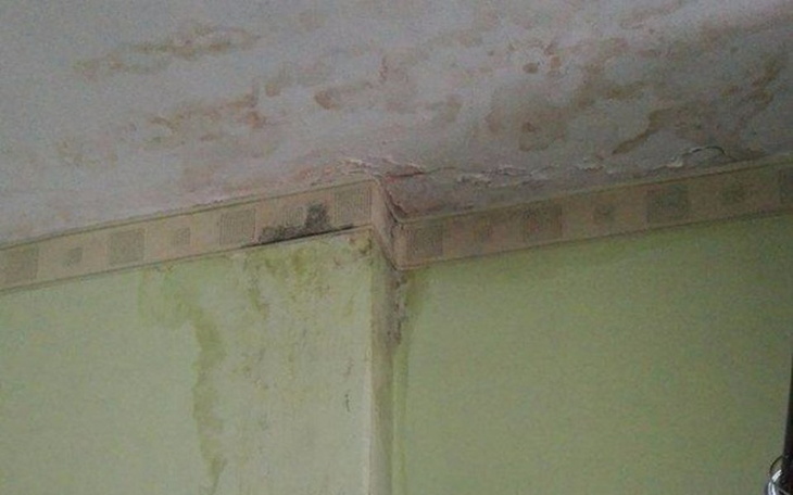 Zbiórka Remont mieszkania babci - zdjęcie główne