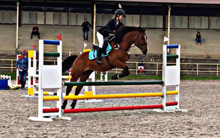 Zbiórka Pobyt mojego konia w klinice - zdjęcie główne