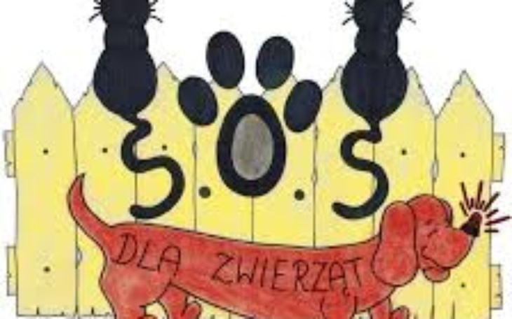 Zbiórka Wąbrzeskie Stowarzyszenie S.O.S. - zdjęcie główne