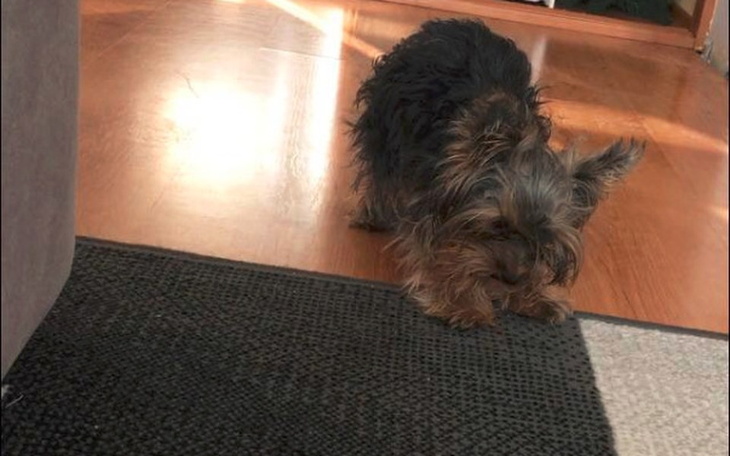 Zbiórka Niestabilność szczytowo obrotowa - zdjęcie główne