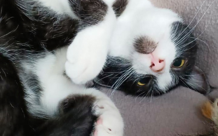 Zbiórka Pomóżcie nam uratować Julianka - zdjęcie główne