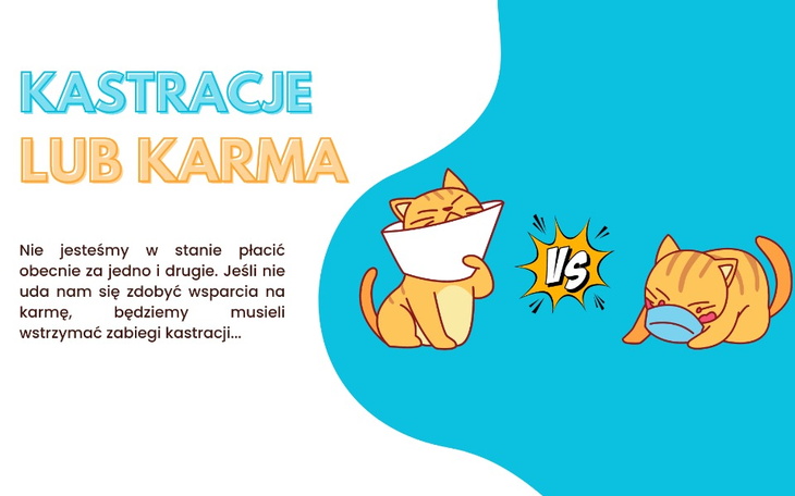 Grafika porównawcza dotycząca kastracji i karmy dla kotów.