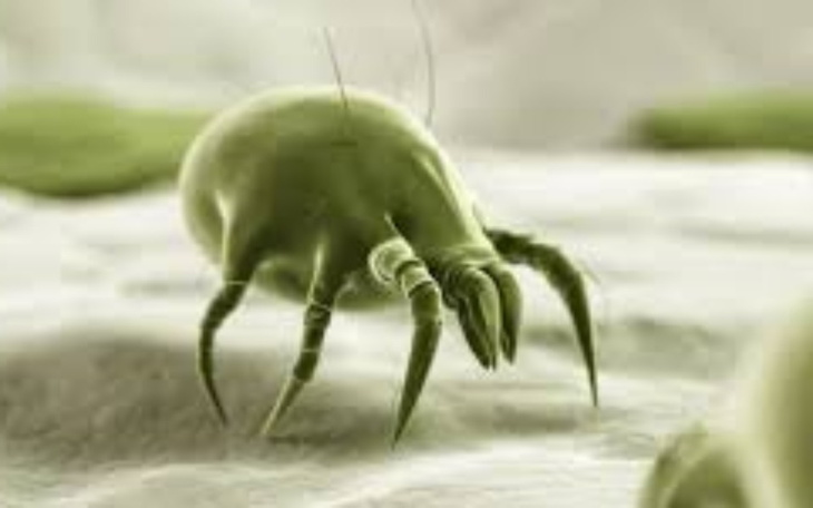 Zbiórka Proszę........na leczenie - zdjęcie główne