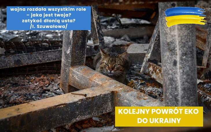 Zbiórka Dla kalekich zwierząt z Ukrainy - zdjęcie główne